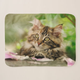 Cute Tabby Maine Coon Cat Kitten Fluffy Head Photo Sherpa Blanket