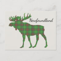 Cute Tartan moose Newfoundland postcard
