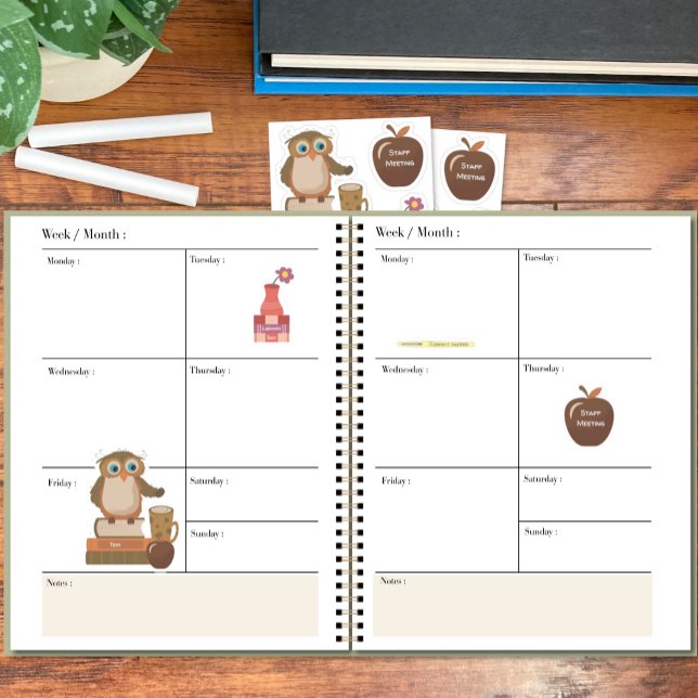 Cute Teachers Planner Sticker Pack (One sheet of stickers contains 1 owl , 1 apple ,1 book stack and 1 pen .)
