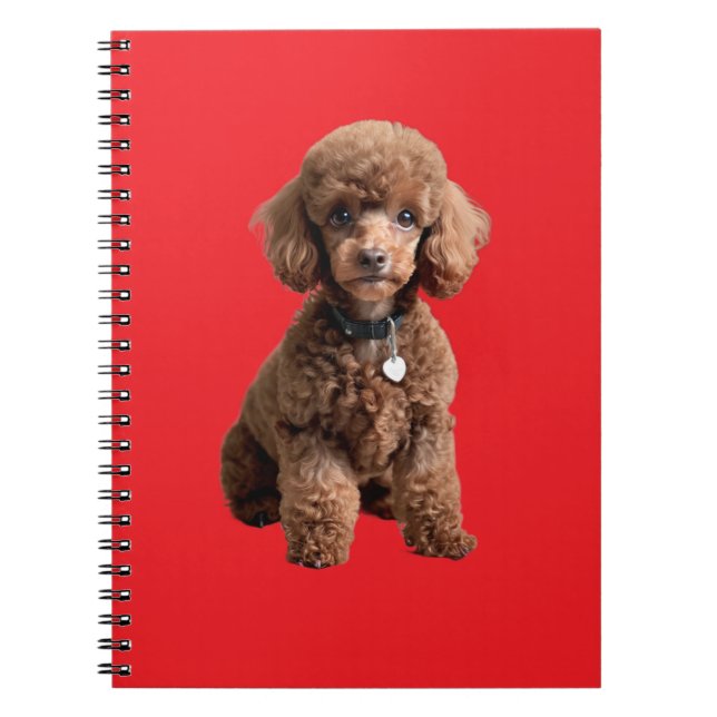  Cute Teacup Poodle Notebook (Front)