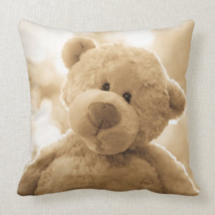 Cute Teddy Bear Pillow   Poetry on the Back