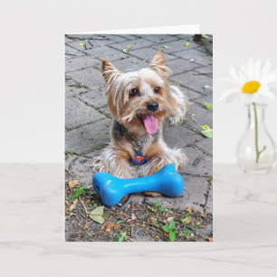 Cute Terrier Card