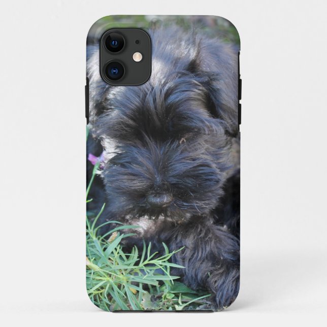 Cute Terrier Dog Case-Mate iPhone Case (Back)