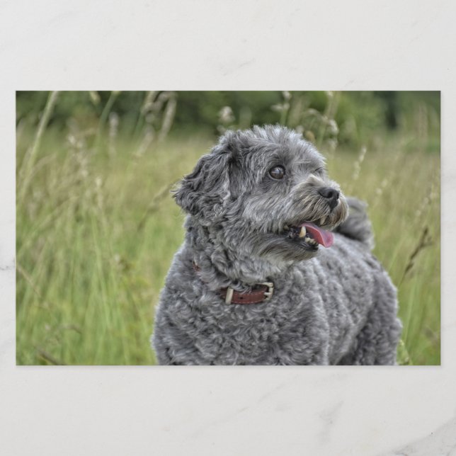 Cute Terrier Dog Stationery (Front)