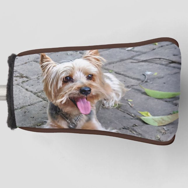 Cute Terrier Golf Head Cover (Front)