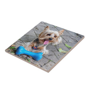 Cute Terrier Tile