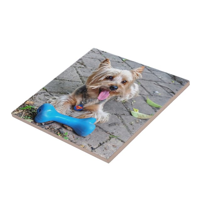 Cute Terrier Tile (Side)