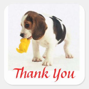 Beagle Stickers | Zazzle CA