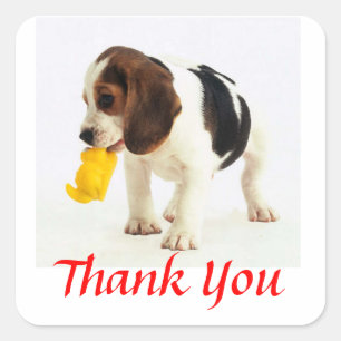 Cute Thank You  Beagle Puppy Dog Greeting Stickers