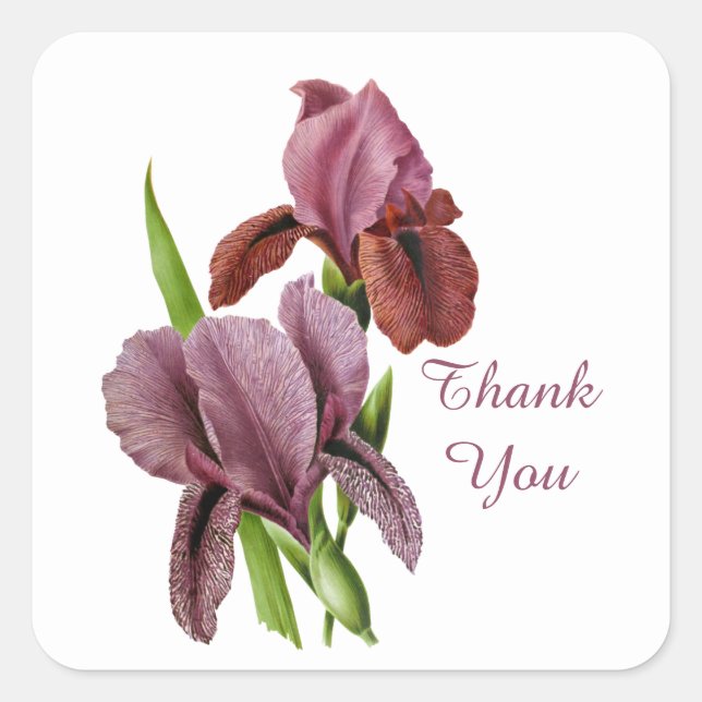 Cute thank you iris vintage square sticker (Front)