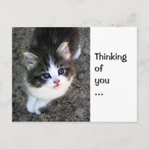 CUTE "Thinking of you" Customizable Personalizable Postcard