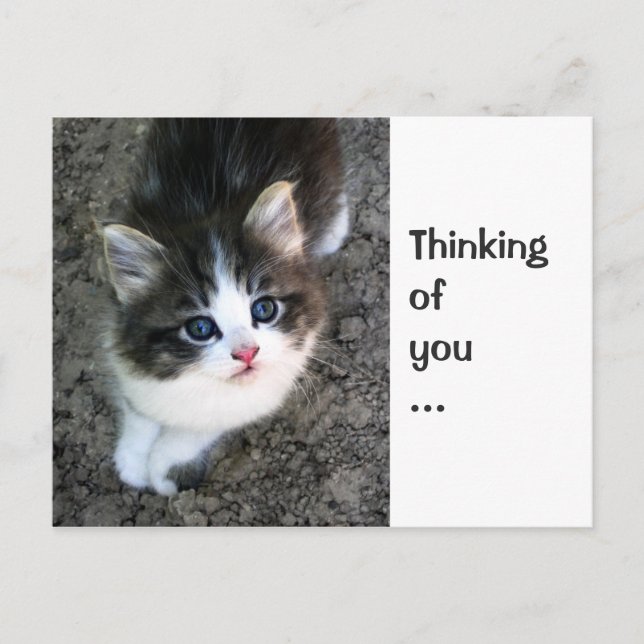 CUTE "Thinking of you" Customizable Personalizable Postcard (Front)