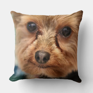 Cute throw pillow