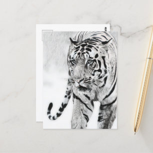 cute tiger animal lovers postcard