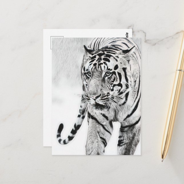 cute tiger animal lovers  postcard (Front/Back In Situ)