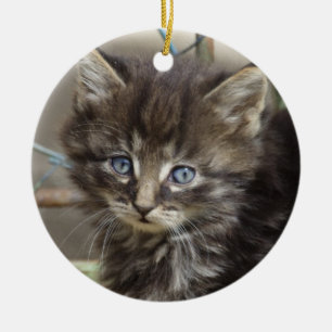 Cute Tiger-Cat Kitten Ceramic Ornament