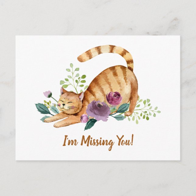 Cute Tiger Cat Missing You Postcard (Front)
