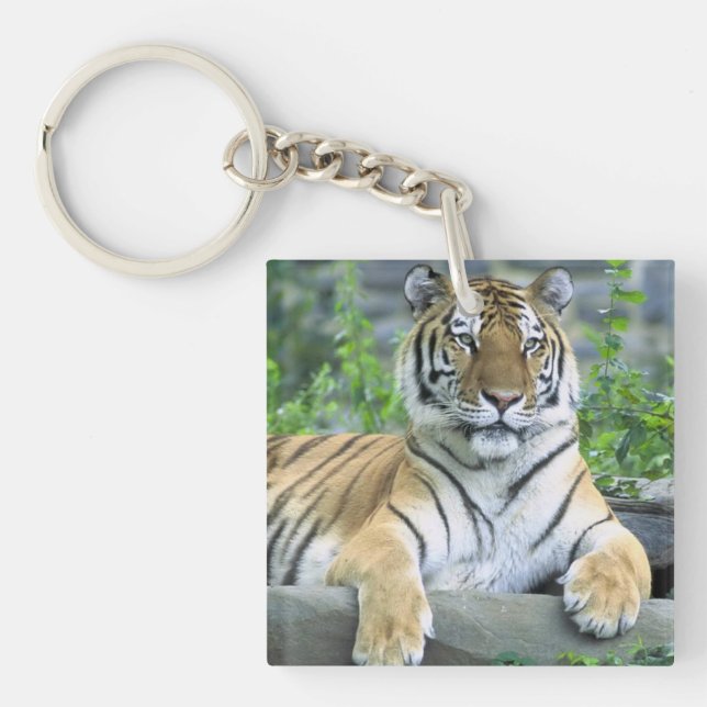 Cute Tiger in grass Keychain (Front)