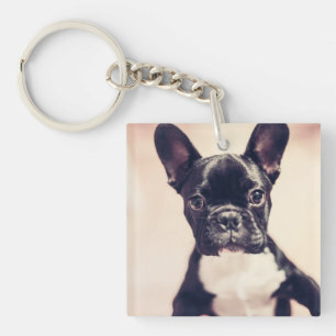 Cute Tiny Black and White Puppy Keychain