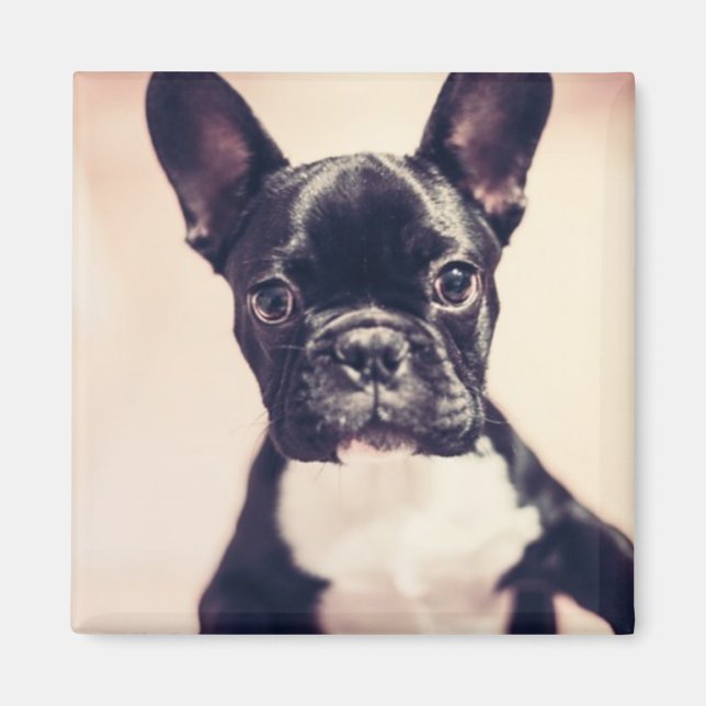 Cute Tiny Black and White Puppy Magnet (Front)