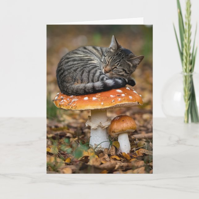 Cute Toadstool Tabby Folded Greeting Card (Front)