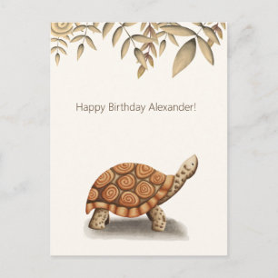 Cute Tortoise Brown Personalized Birthday Postcard