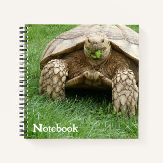 Cute Tortoise Lettuce Munch Notebook