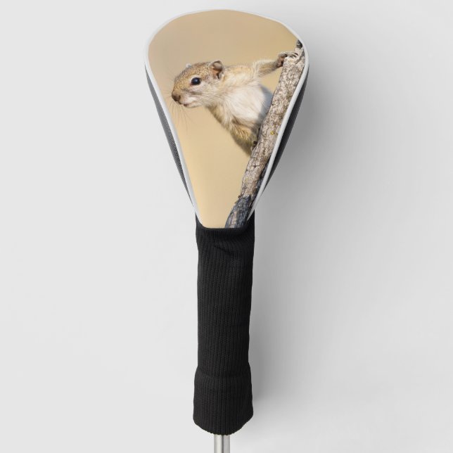 Cute Tree squirrel wild animal photo Golf Head Cover (Front)
