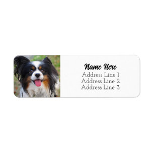 Cute Tri Color Papillon Puppy Dog Return Address