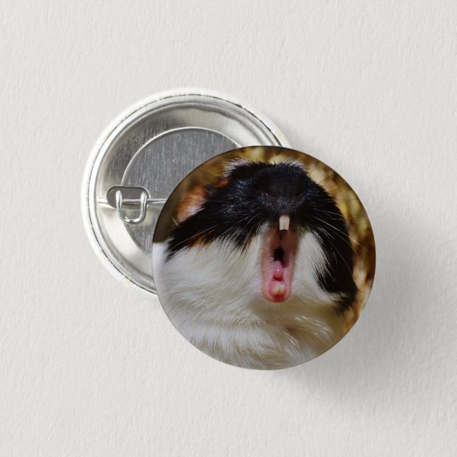 Cute Tri-colour Guinea Pig Yawning 1 Inch Round Button (Front & Back)