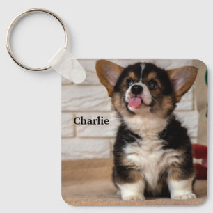 Cute Tri colour Pembroke Welsh Corgi Puppy Dog Keychain