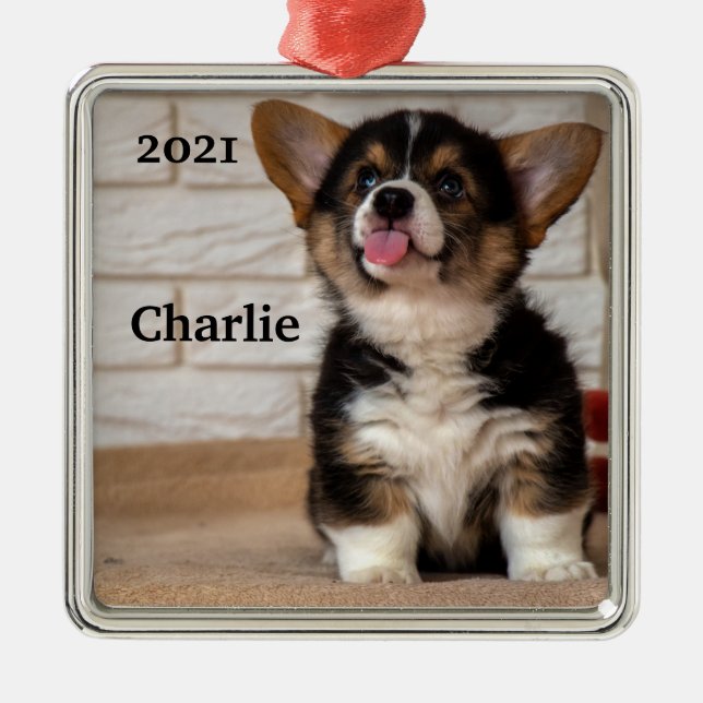 Cute Tri colour Pembroke Welsh Corgi Puppy Dog Metal Ornament (Front)