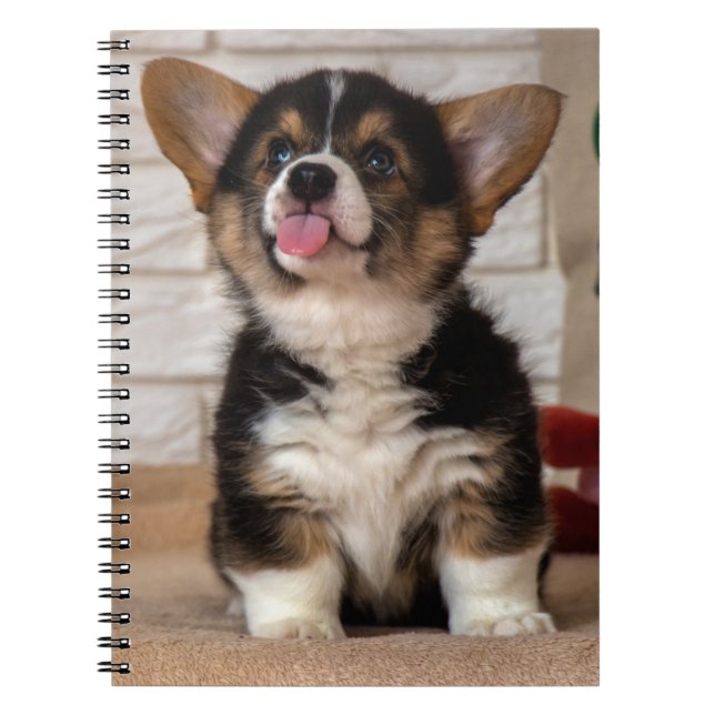 Cute Tri colour Pembroke Welsh Corgi Puppy Dog Notebook (Front)