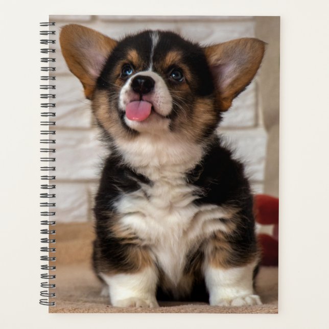 Cute Tri colour Pembroke Welsh Corgi Puppy Dog Planner (Front)