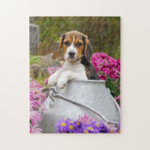 Cute Tricolor Beagle Dog Puppy Churn - Game Jigsaw