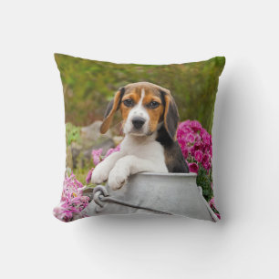 Cute Tricolor Beagle Dog Puppy in a Milk Churn - Throw Pillow