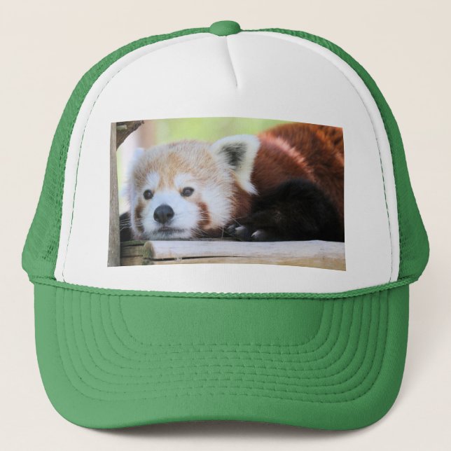 Cute Trucker Hat (Front)