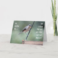 Cute Tufted Titmouse on Feeder, Funny Birthday