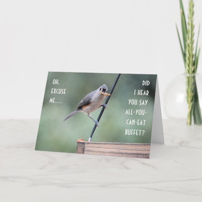 Cute Tufted Titmouse on Feeder, Funny Birthday Card (Front)