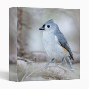 Cute Tufted Titmouse Photo Album Binder
