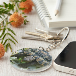 Cute Turtle Keychain