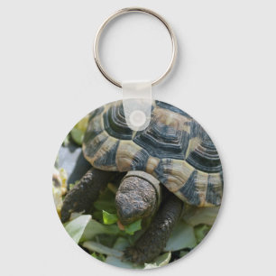 Cute Turtle Keychain