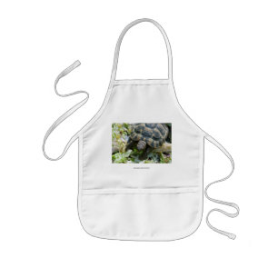 Cute Turtle Kids Apron