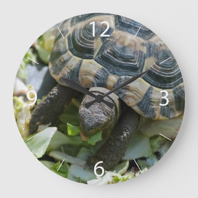 Cute Turtle Large Clock (Front)