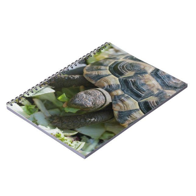 Cute Turtle Notebook (Left Side)