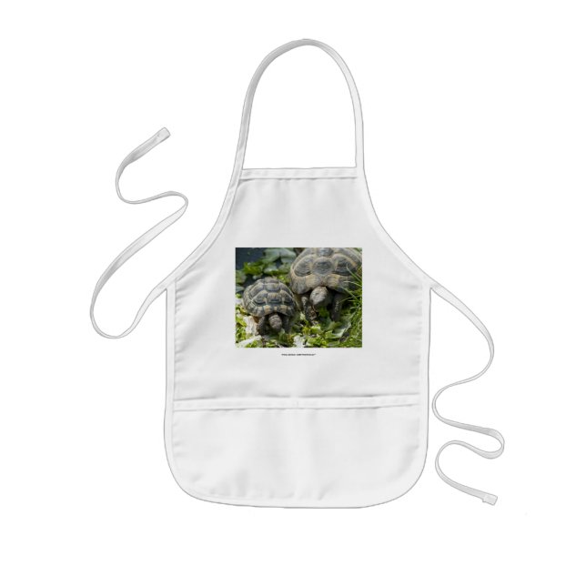 Cute Turtles Kids Apron (Front)