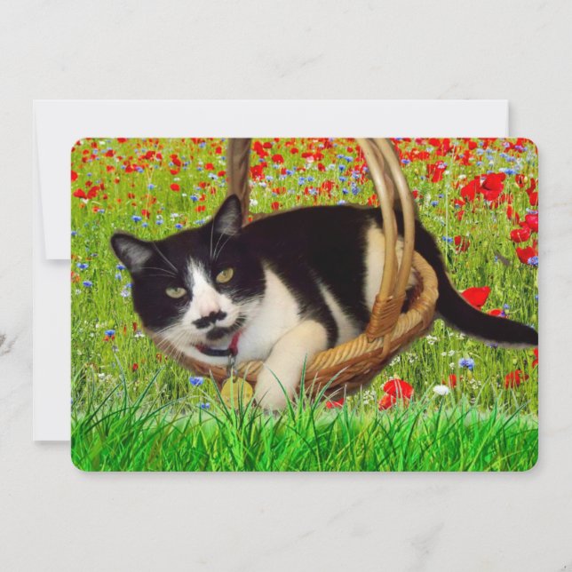 Cute Tuxedo Black Cat Card (Front)