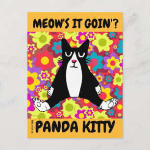 CUTE TUXEDO CAT ART, PANDA KITTY SITTING UP POSTCARD