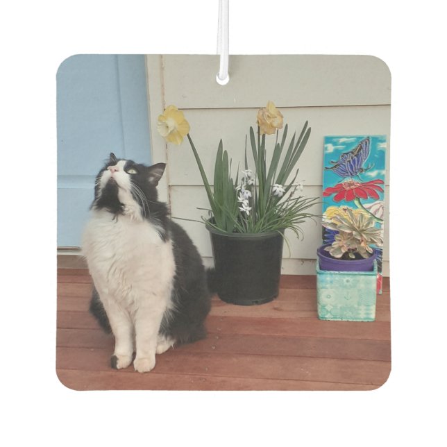 Cute Tuxedo Cat Black White Cats Floral Daffodil Air Freshener (Front)