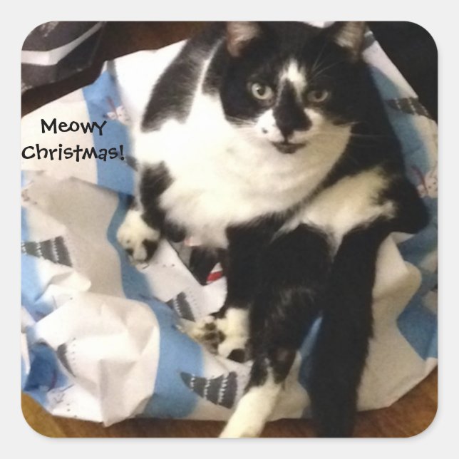 Cute Tuxedo Cat Present Meowy Christmas Stickers (Front)